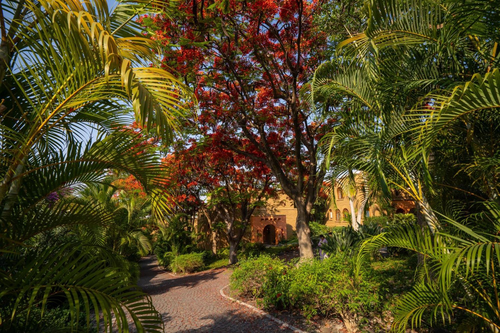 Mision Del Sol Resort & Spa Adults Only Cuernavaca Zewnętrze zdjęcie